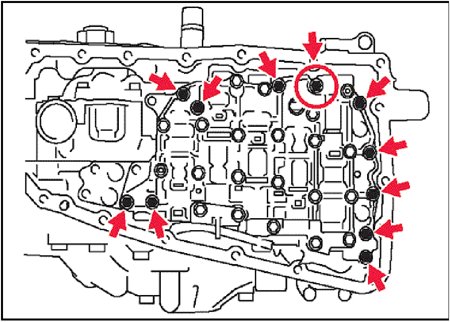 520065657_graphic-text225